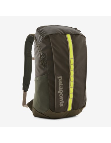 Patagonia Black Hole 25L Backpack-Pine Needle Green de la marque