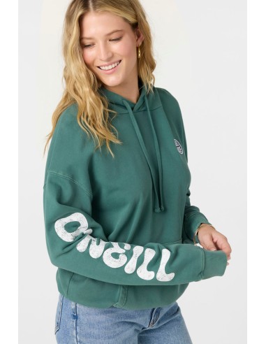 O'Neill Drift Hooded Sweatshirt-Silver Pine solde